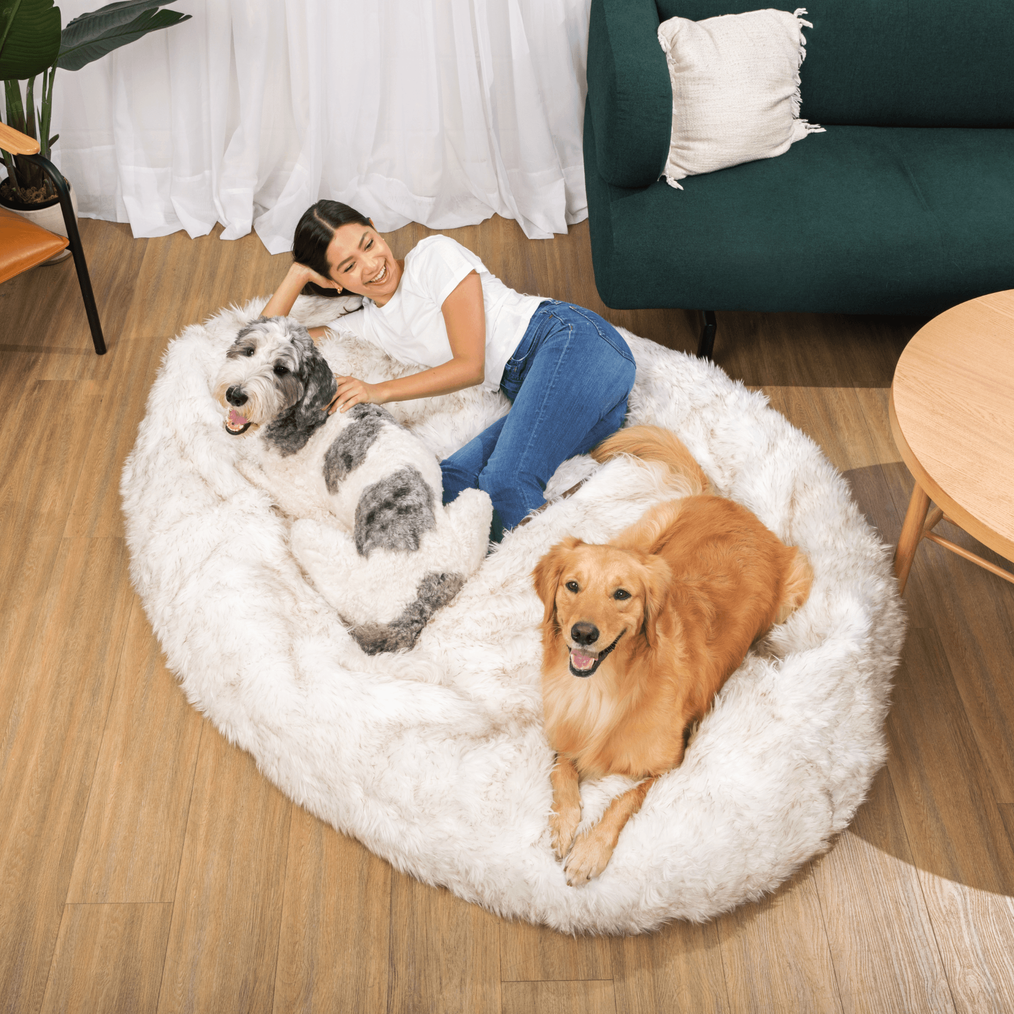 Petcare™ Anti Anxiety Dog Bed