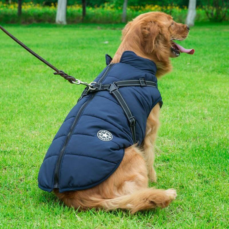 Petcare Dog Winter Jacket