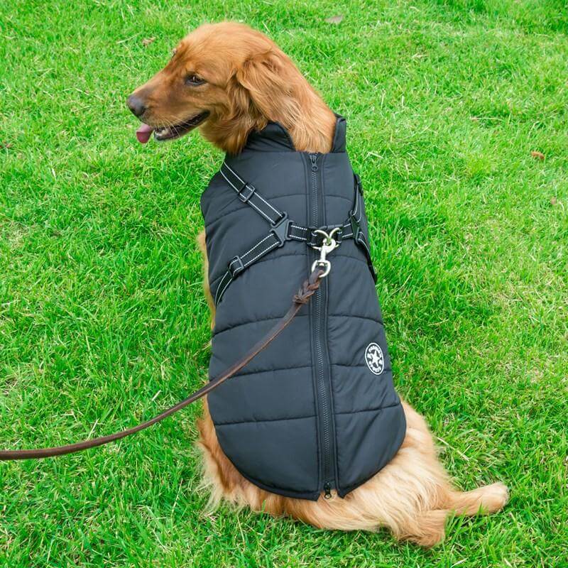 Petcare Dog Winter Jacket