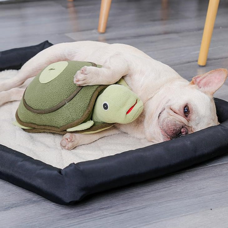 Cute Squeaky Dog Chew Toys Pet Training Toy