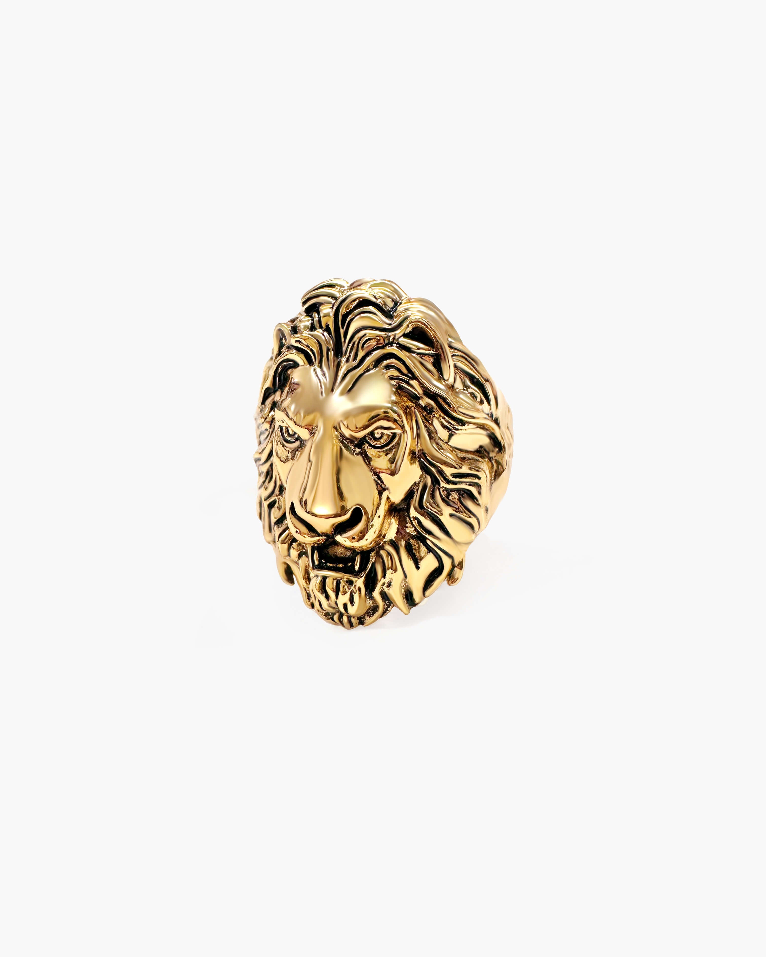 Lion Guard Ring in Silver