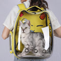 pet carrier backpack transparent cat backpack