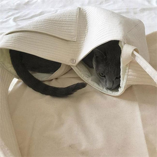 Hand-free pet carrier one shoulder pet travel bag