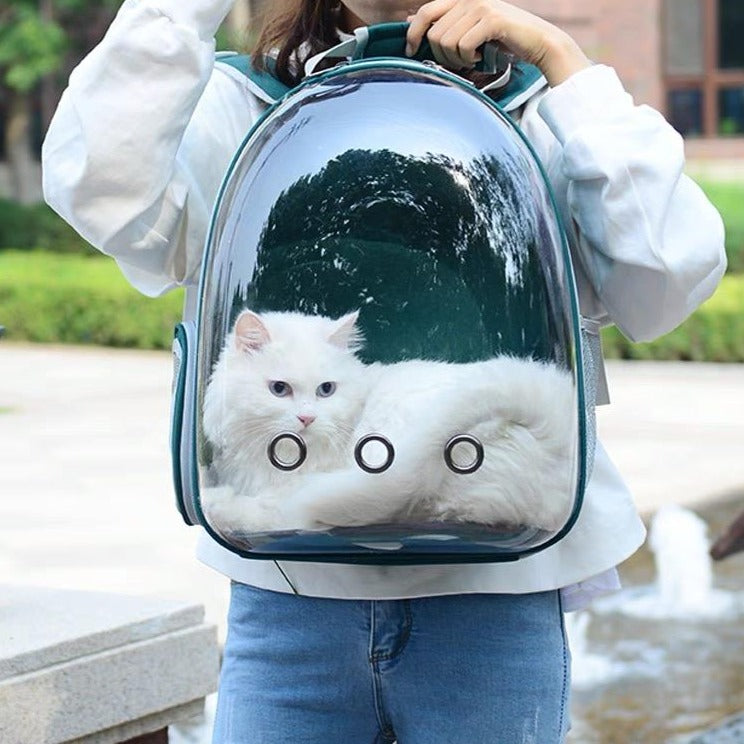 Portable Pet Carrier Backpack With Space Capsule Bubble