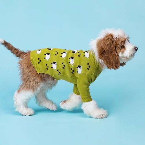 Funny Sheep Dog Sweater, Thermal Winter Clothes for Small Dogs, Boy, Girl - Dog Holiday Pullover Jumper, Pet Outfit - Black, Green, White, S