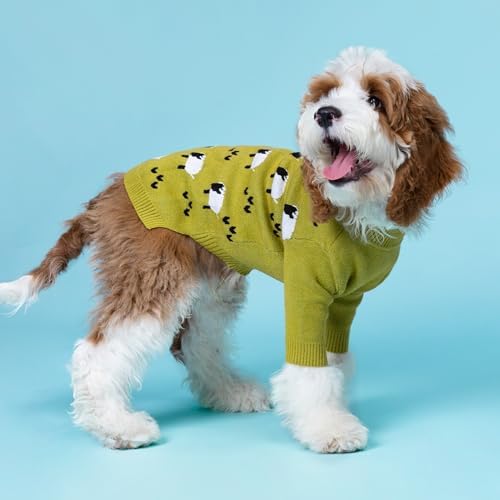 Funny Sheep Dog Sweater, Thermal Winter Clothes for Small Dogs, Boy, Girl - Dog Holiday Pullover Jumper, Pet Outfit - Black, Green, White, S