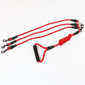 Famigift - 3 in 1 Dog Leash