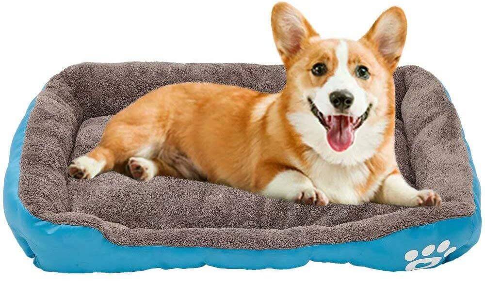 Petcare Soft Fleece Dogs Bed