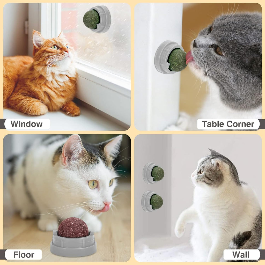 3 Pack Catnip Balls, Catnip Ball for Cats Wall, Edible Kitty Toys for Cats Lick, Safe Healthy Kitten Chew Toys, Teeth Cleaning Dental Cat Toys, Cat Wall Treats (Grey)