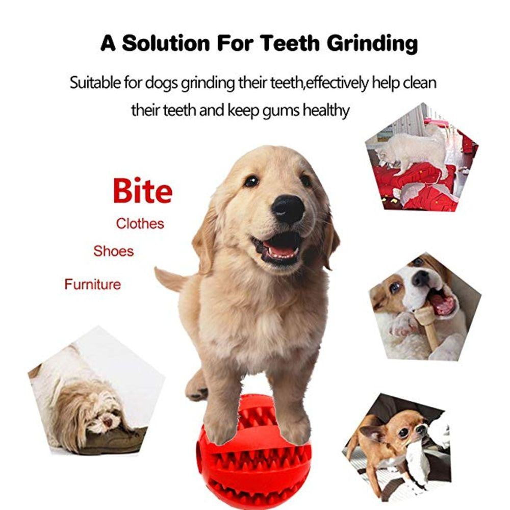 Fami Petcare Interactive Teeth Cleaning Ball