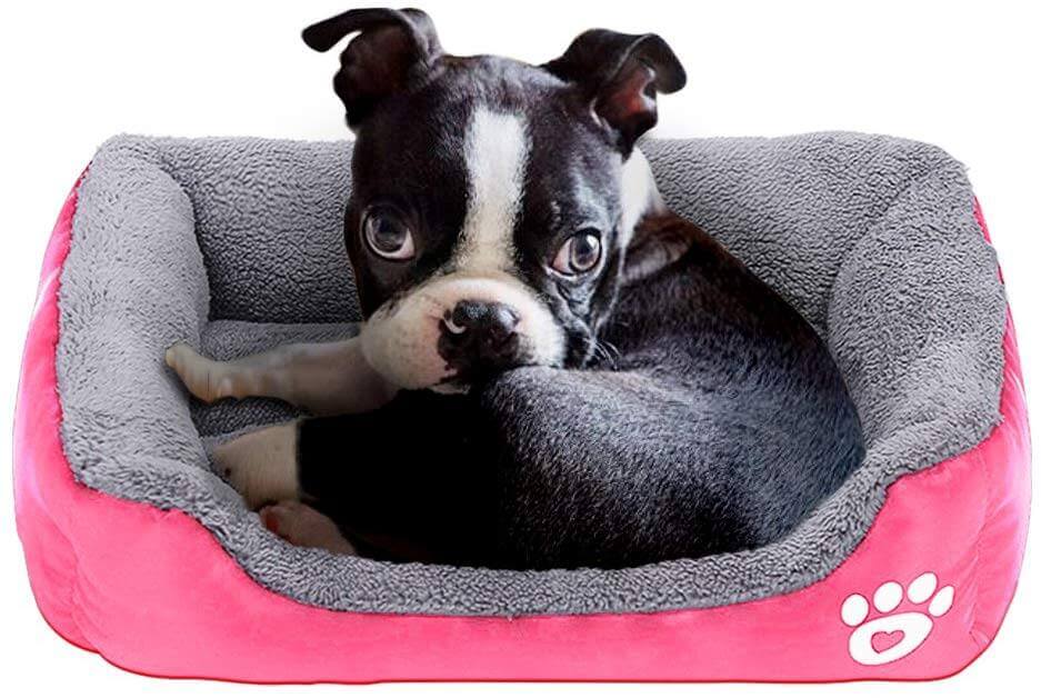 Petcare Soft Fleece Dogs Bed