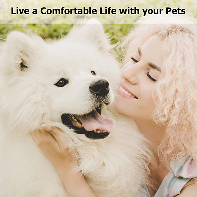 Pet Grooming Shower Bathing Spray Gloves for Dogs & Cats, Compatible with Outdoor Hose & Bath Tub