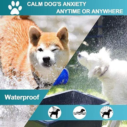 Pheromones Calming Collar For Pet