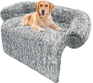 Sofa Bed (Furniture Protector