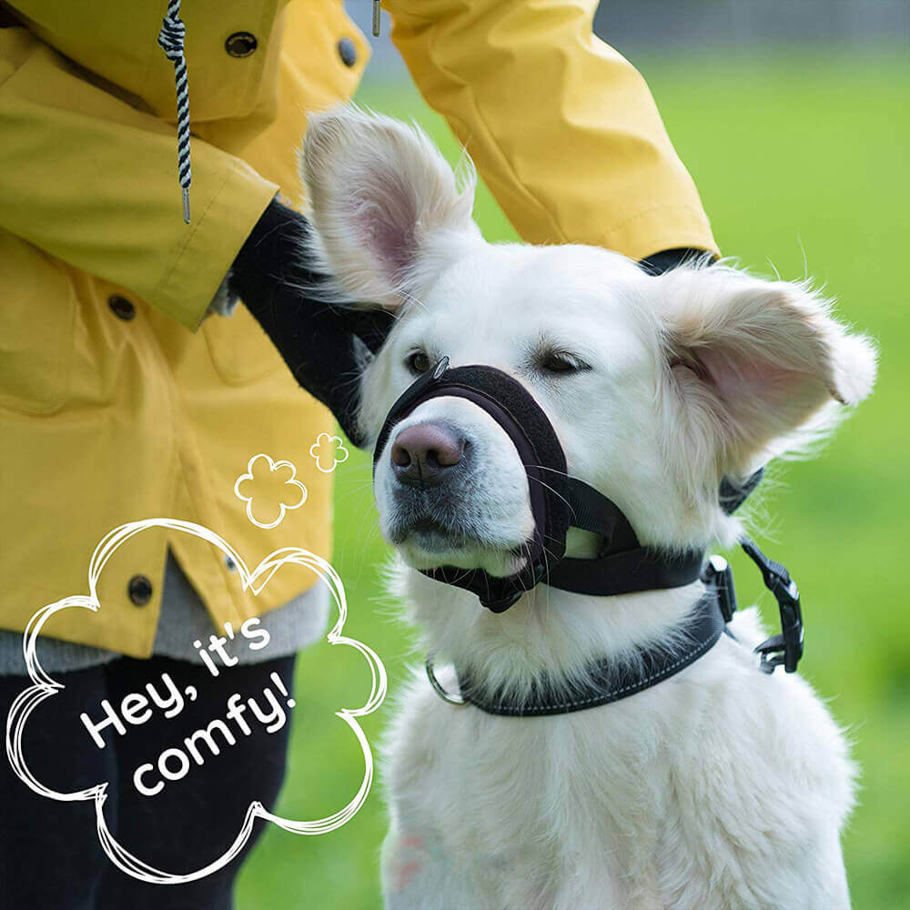 Pet Dog Padded Head Collar Gentle Halter Leash Leader Stop Pulling Training Tool