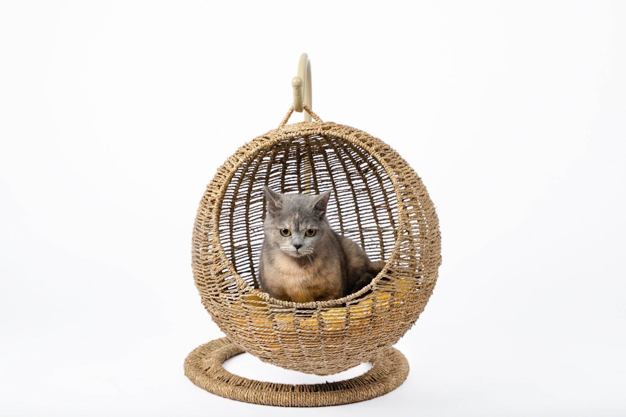 Hanging Cat Bed | Woven Round Pet Basket