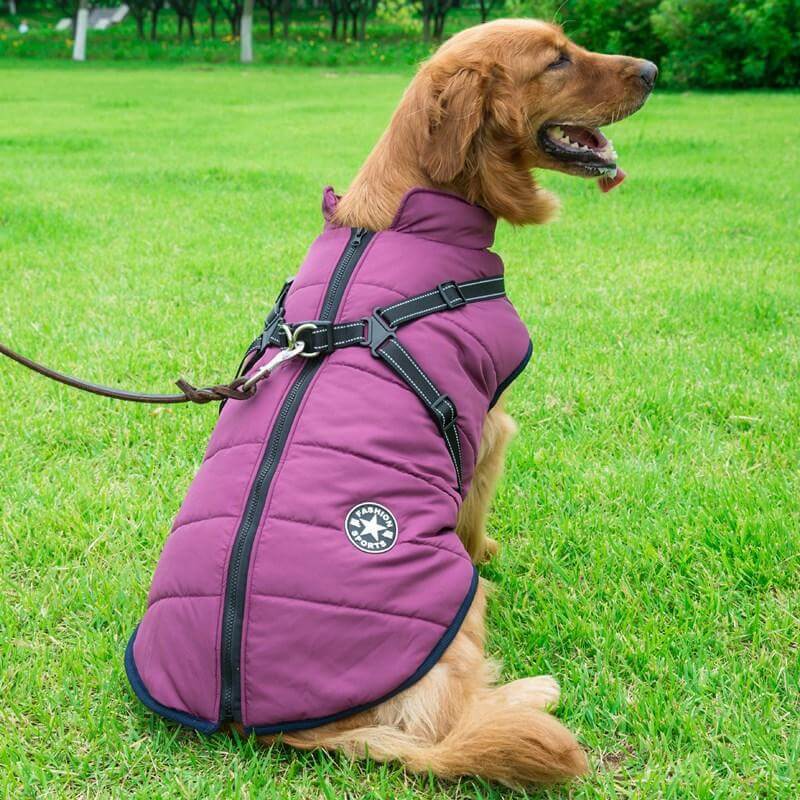Petcare Dog Winter Jacket