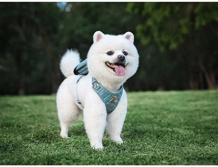 Bio-Based Dog Harness And Leash Set