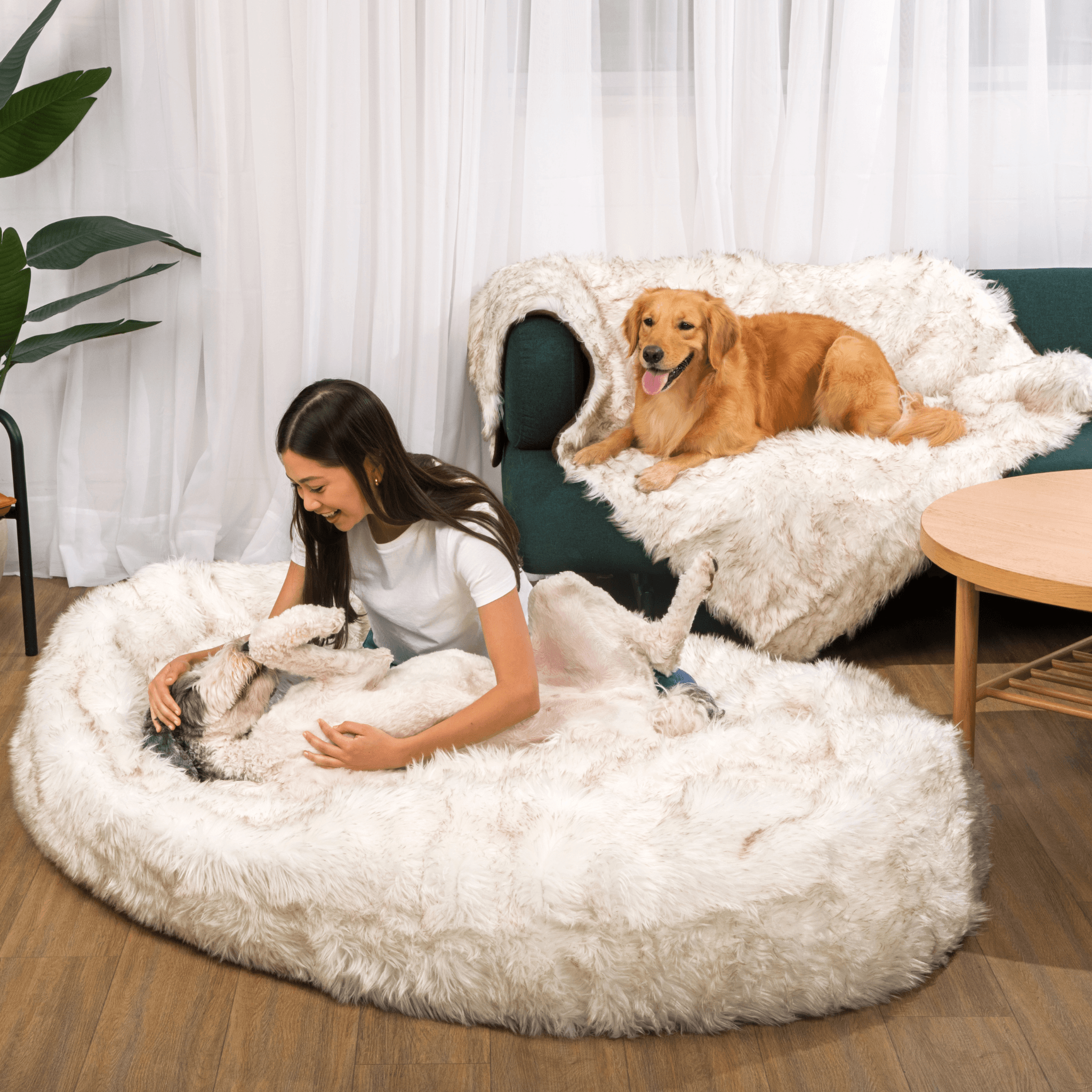 Petcare™ Anti Anxiety Dog Bed
