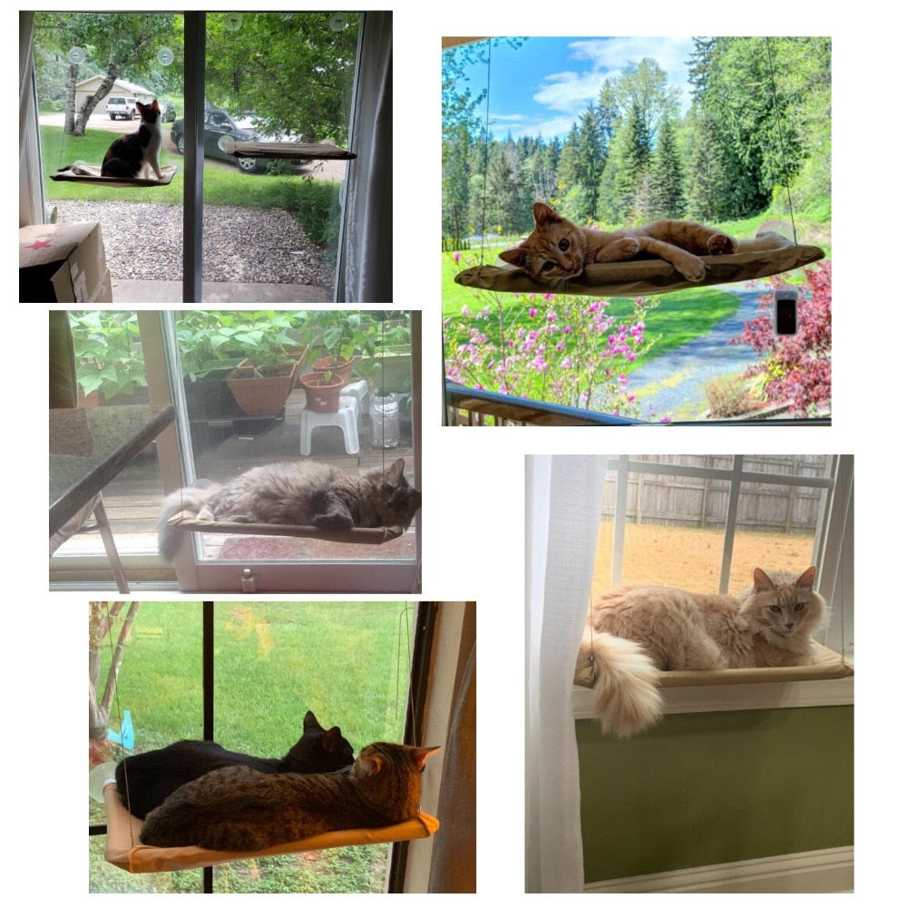 Cat Resting Seat Perch Window Hammock Pet Hanging Sleeping Beds Mount