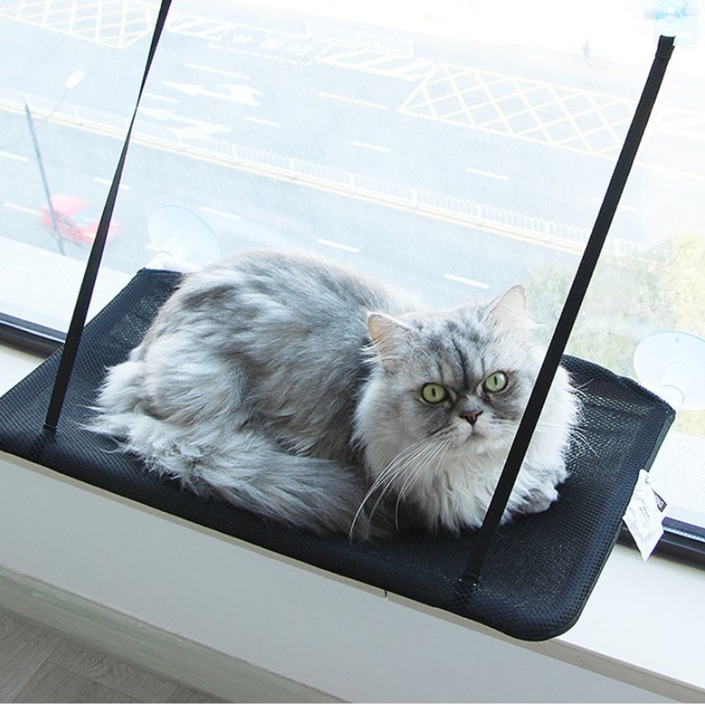 Cat Suction Cup Hanging Bed Cat Sofa Cat Bed Cat Basking In The Sun