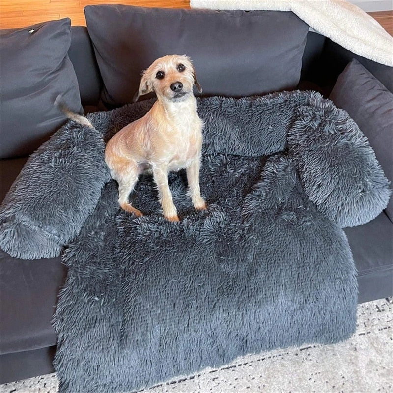 Fami Petcare PupCouch