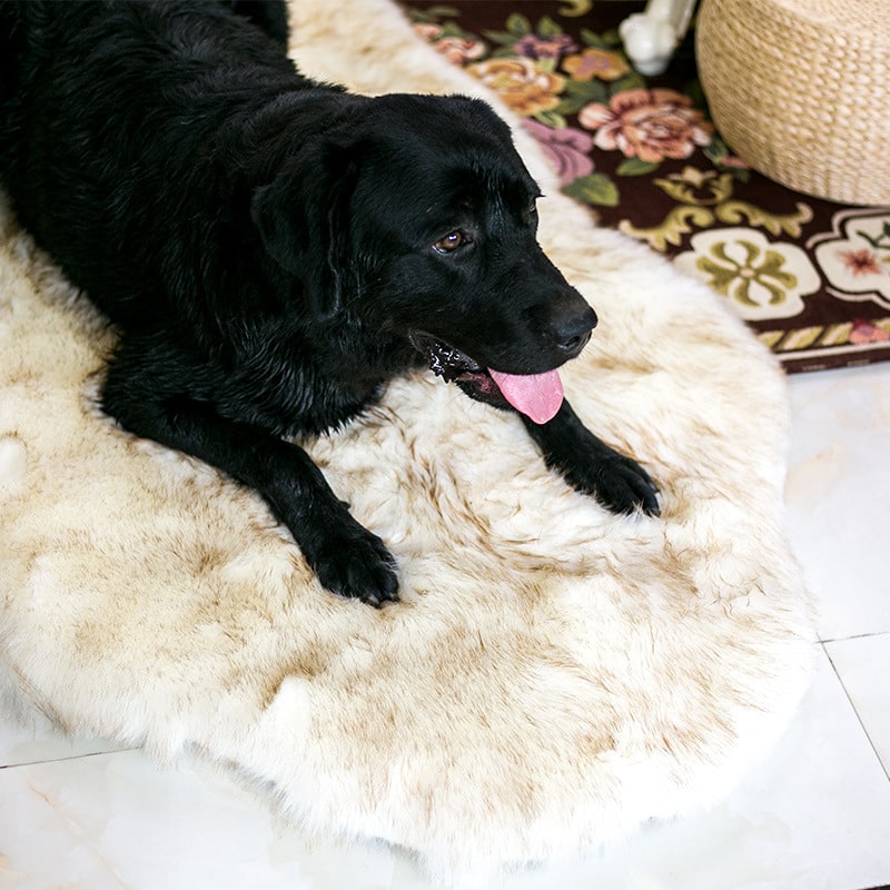 Fami Petcare Cloud Rug - Faux Fur Relaxing Dog Bed