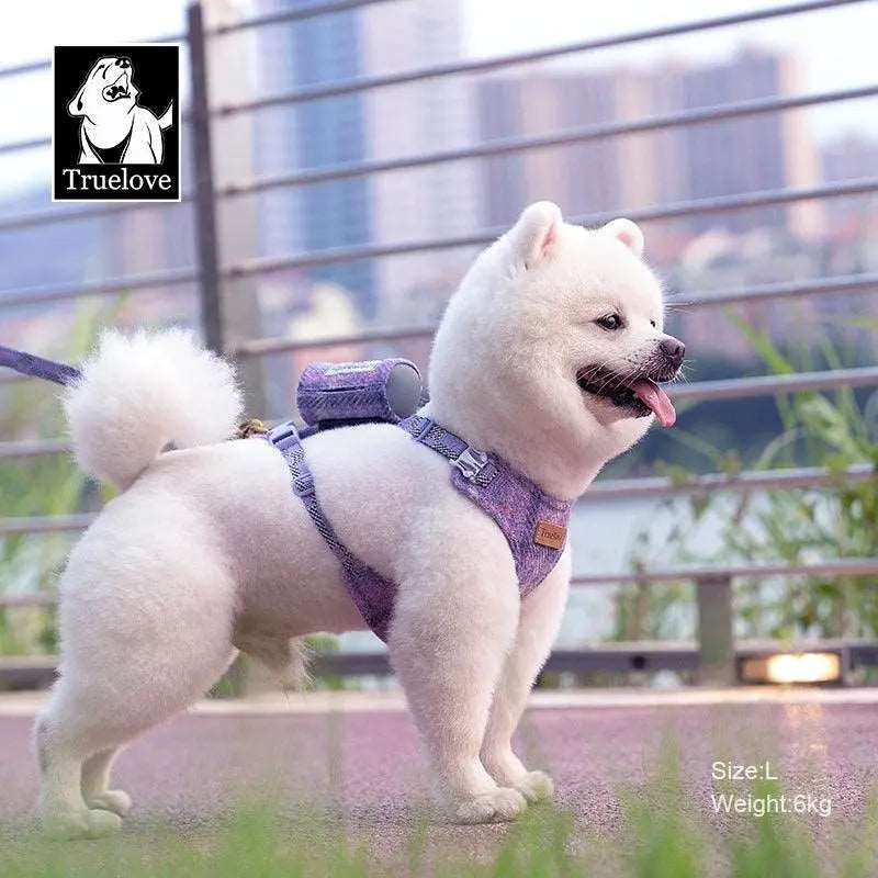 Stylish Dog Harness and Leash Set – Comfort and Safety for Your Dog