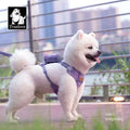 Stylish Dog Harness and Leash Set – Comfort and Safety for Your Dog