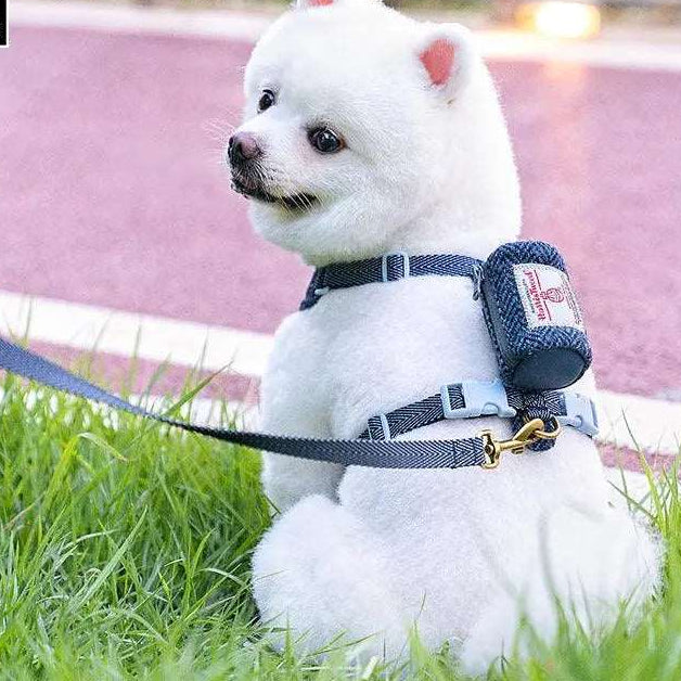 Stylish Dog Harness and Leash Set – Comfort and Safety for Your Dog