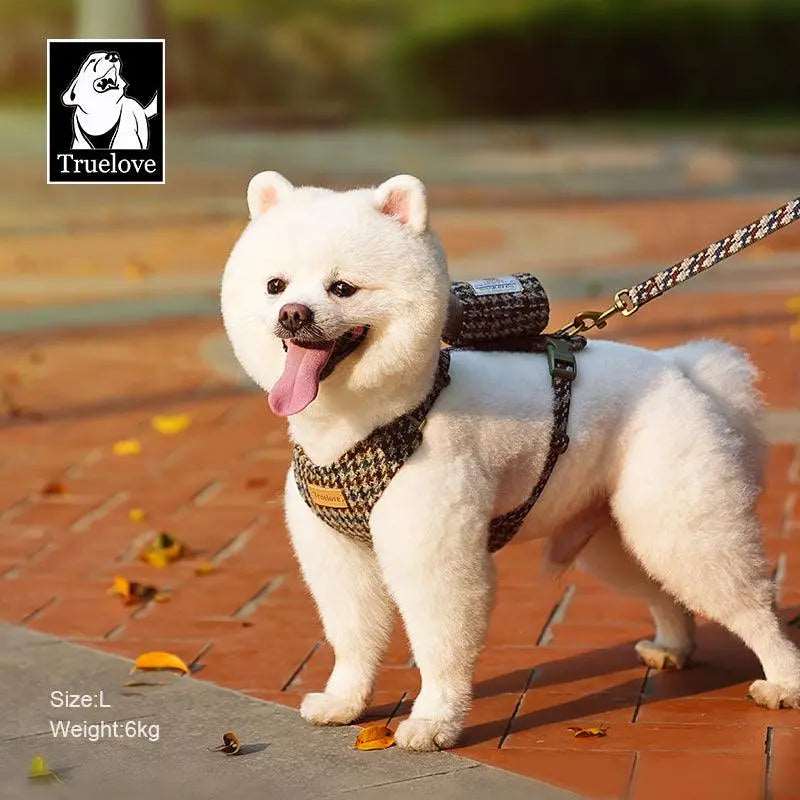 Stylish Dog Harness and Leash Set – Comfort and Safety for Your Dog