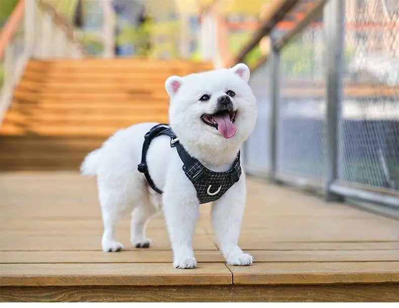 LED Smart Dog Harness (Reflective Design, Tracker Holder)