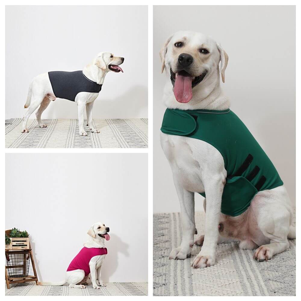 Classic Dog Anxiety Clothing Jacket