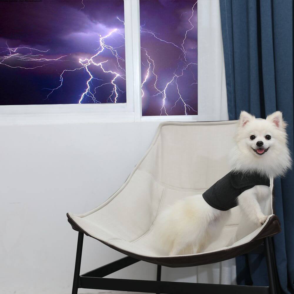Classic Dog Anxiety Clothing Jacket