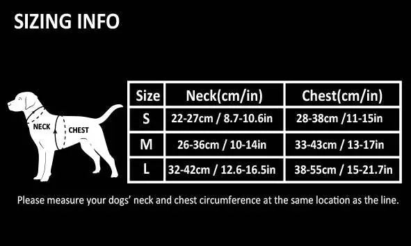 Stylish Dog Harness and Leash Set – Comfort and Safety for Your Dog