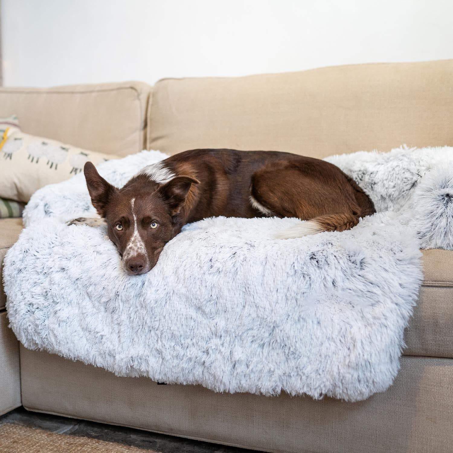 Fami Petcare PupCouch