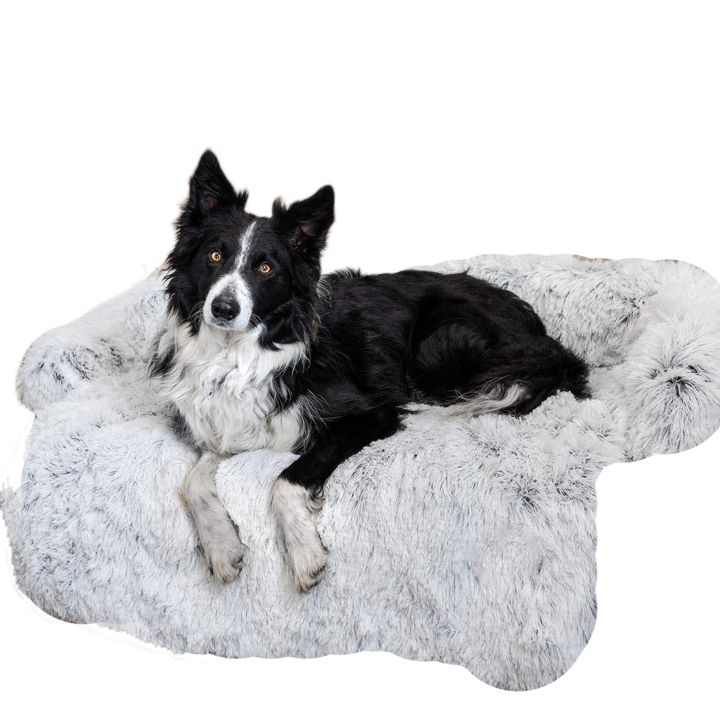 Fami Petcare PupCouch