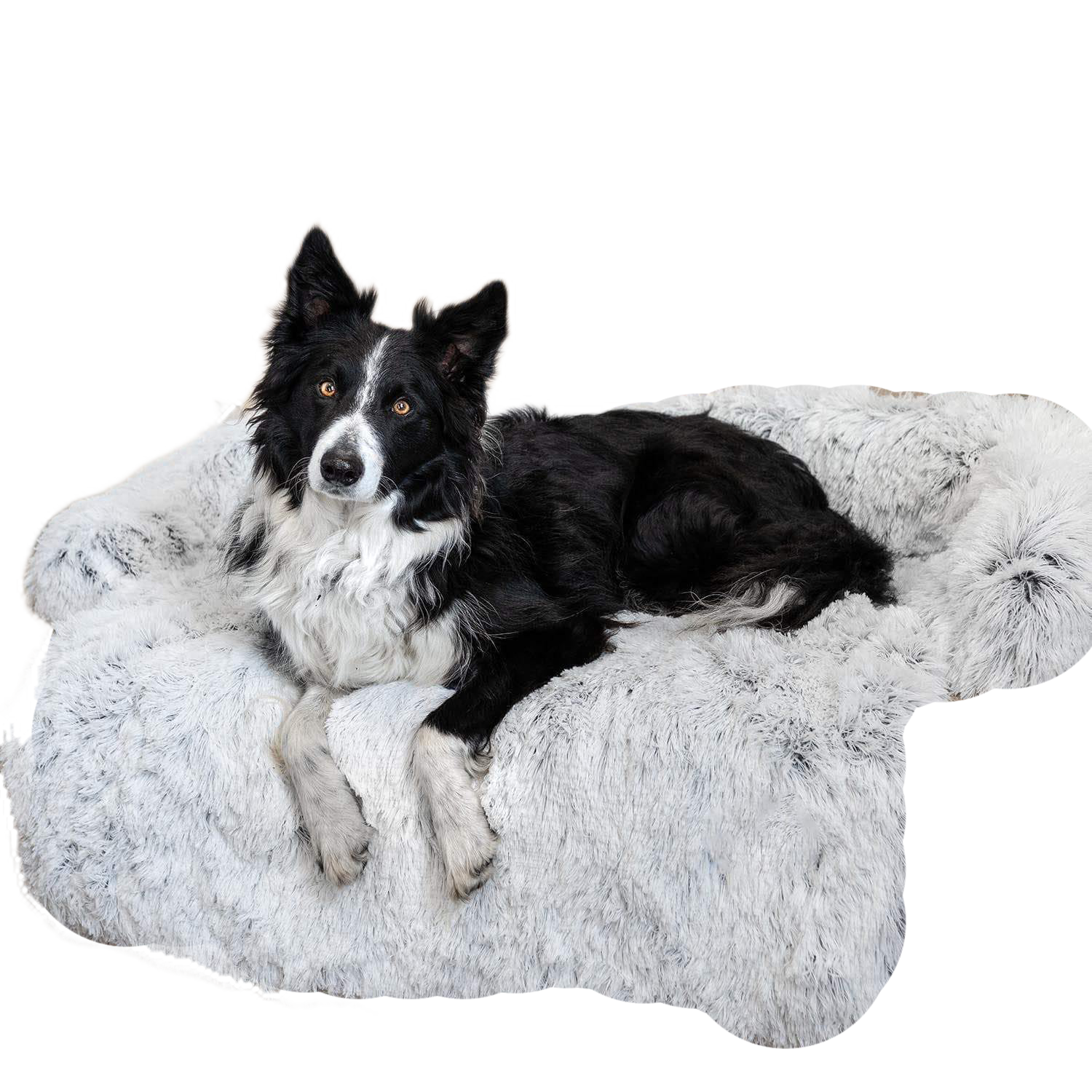 Fami Petcare PupCouch