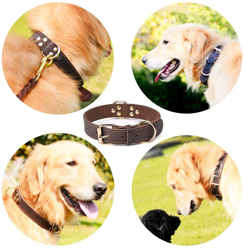 Fami Petcare Genuine Leather Collar