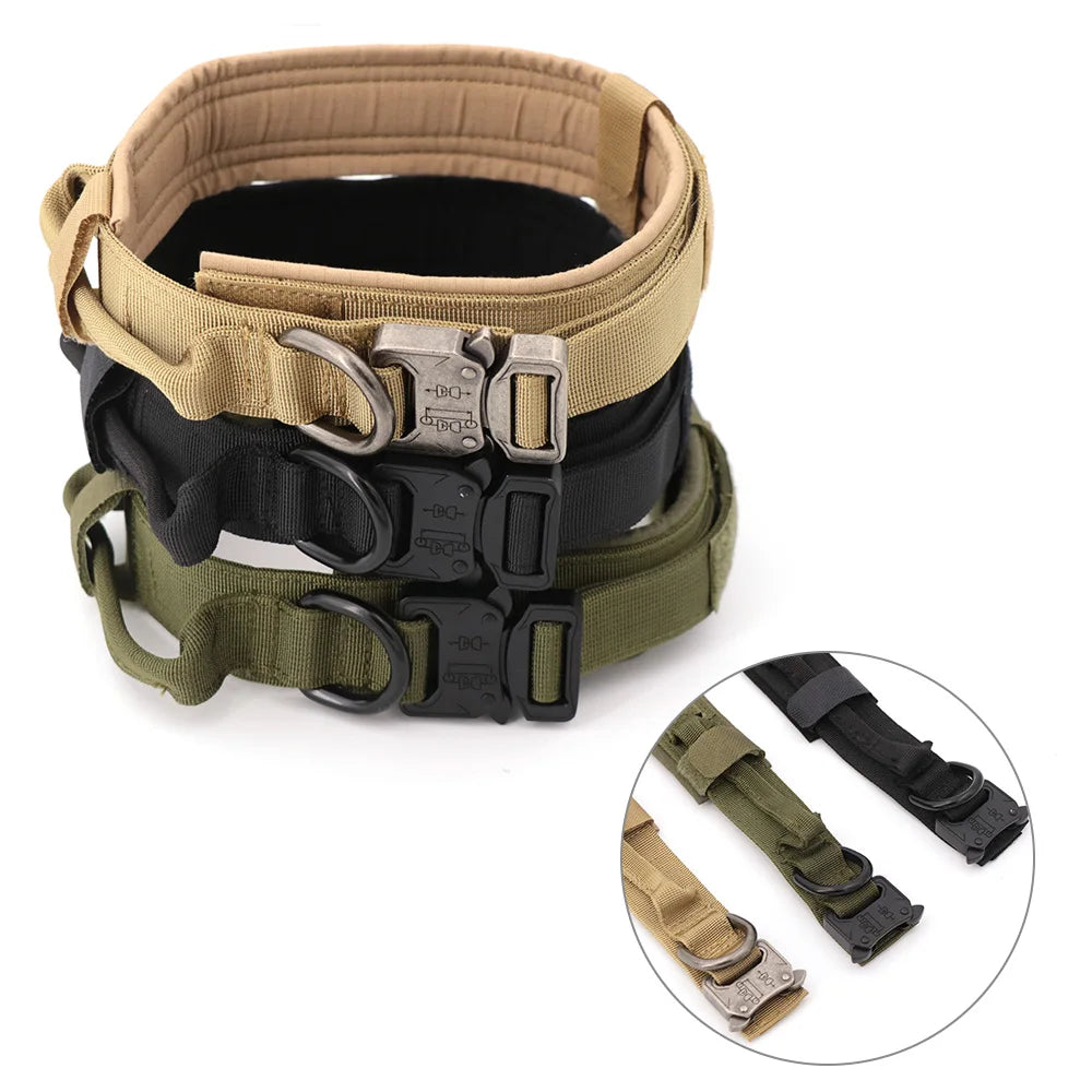 Dog Training Collar