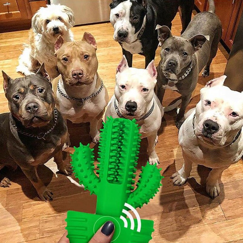 Pet Toothbrush Chew Toy Doggy Brush Stick Soft Rubber dog Teeth Cleaning