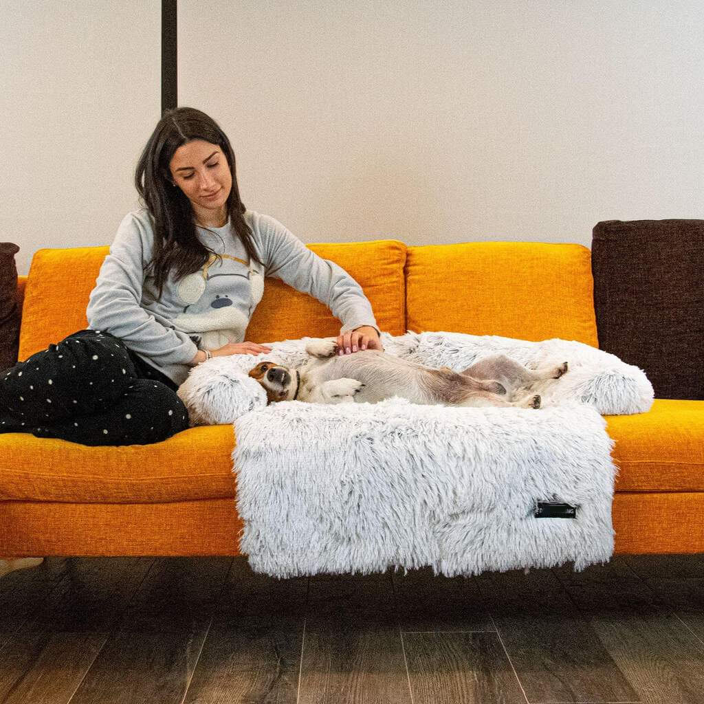 Sofa Bed (Furniture Protector
