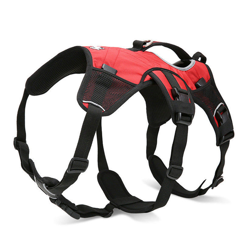 Fami Petcare Backpack Harness 2-in-1