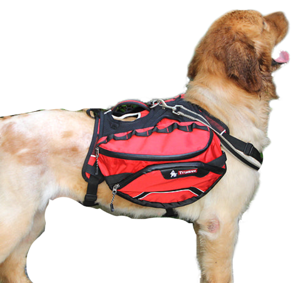 Fami Petcare Backpack Harness 2-in-1