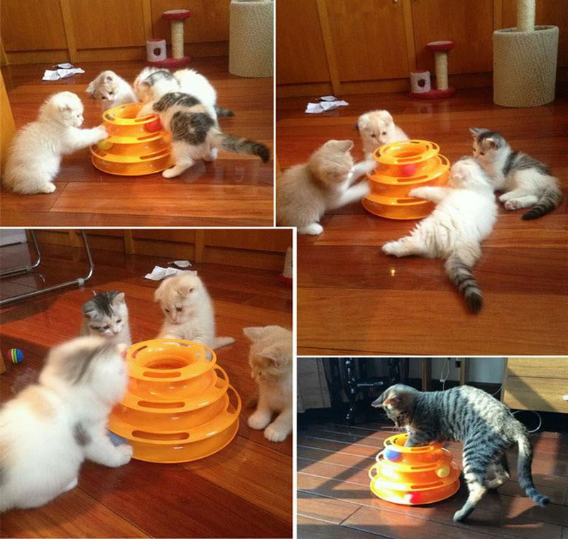Cat Toy 3 Level Tower Track Roller Toy with Balls