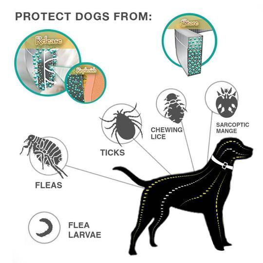 Pheromones Calming Collar For Pet