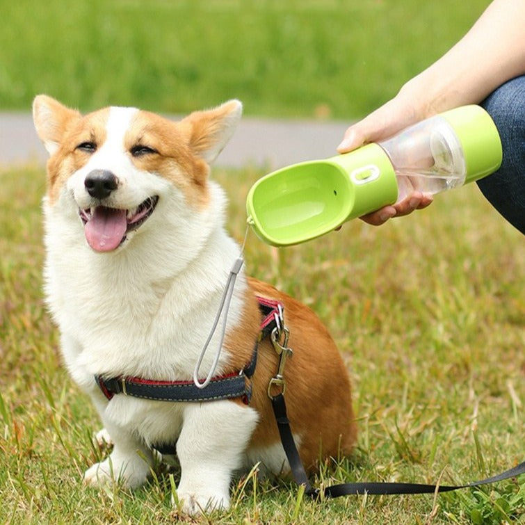 Pet Water Bottle Portable Outdoor Travel Water feeder