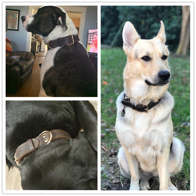 Fami Petcare Genuine Leather Collar