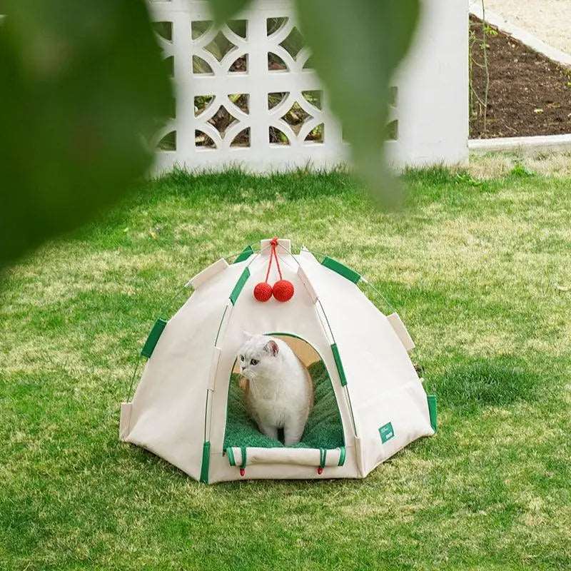 Cozy Igloo Cat Tent – Portable Comfort for All Seasons | Gabby Whale