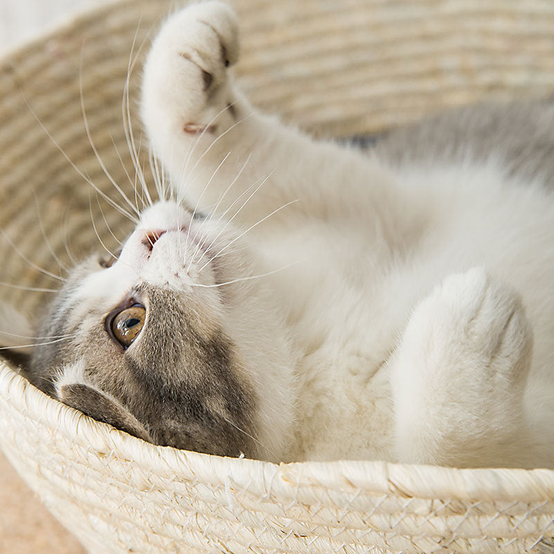 Cat Bed Rattan Four-season Universal Cat Bed Woven Cat Bed